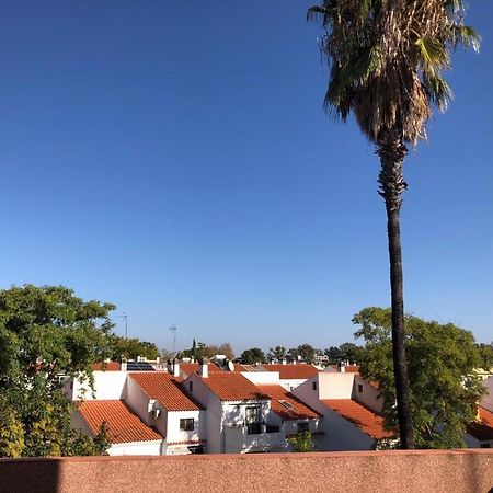 Familia Anfitriona Acoge Terraza Lägenhet Sevilla Exteriör bild